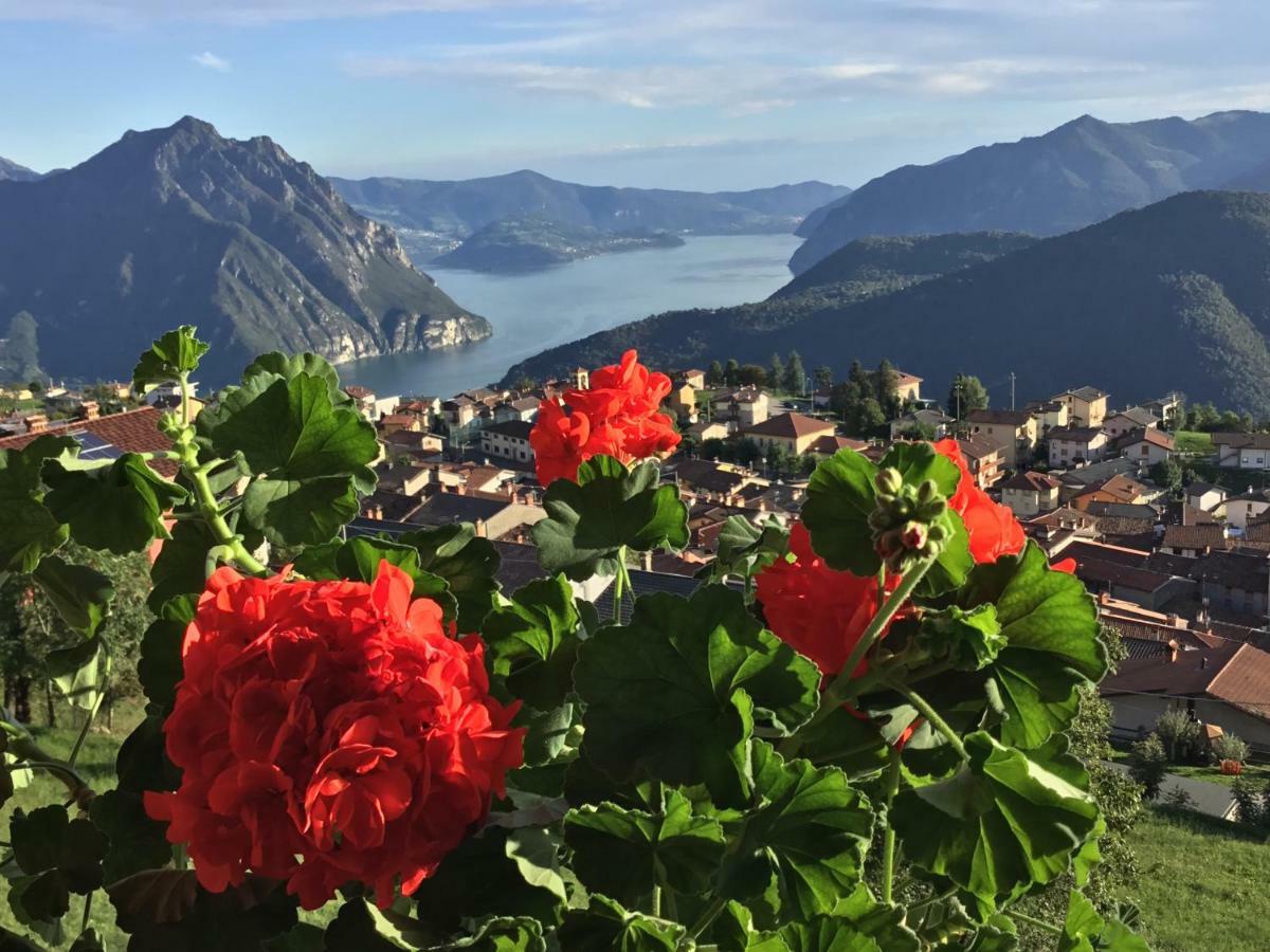 Home Iseo Lake ボッシコ エクステリア 写真